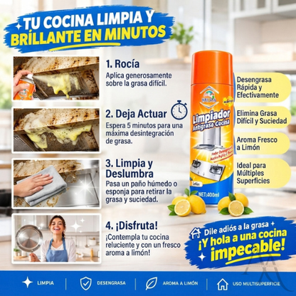 Grasiva™ - Limpieza Fácil